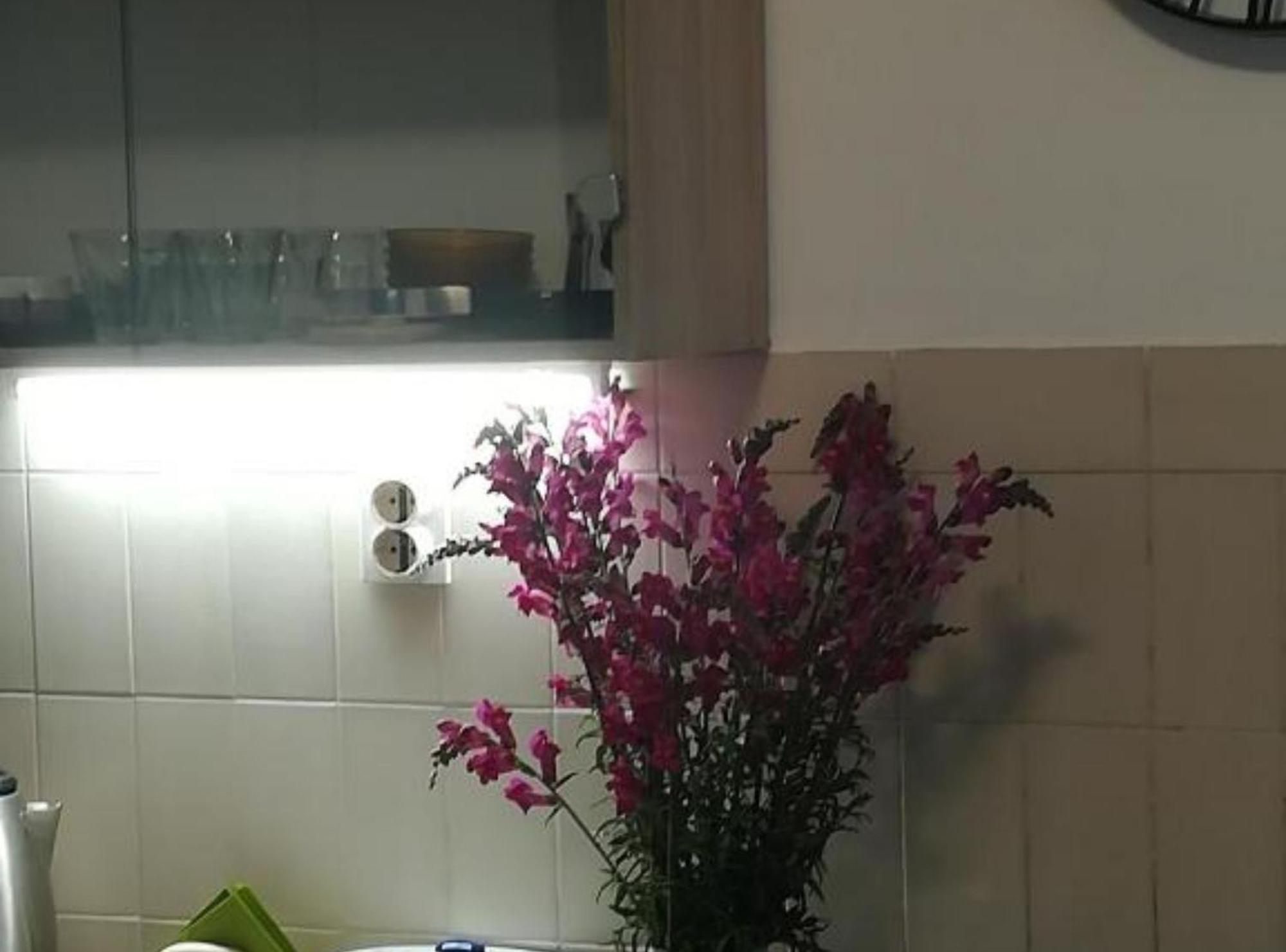 Apartman Olymp Osijek-Garaza מראה חיצוני תמונה