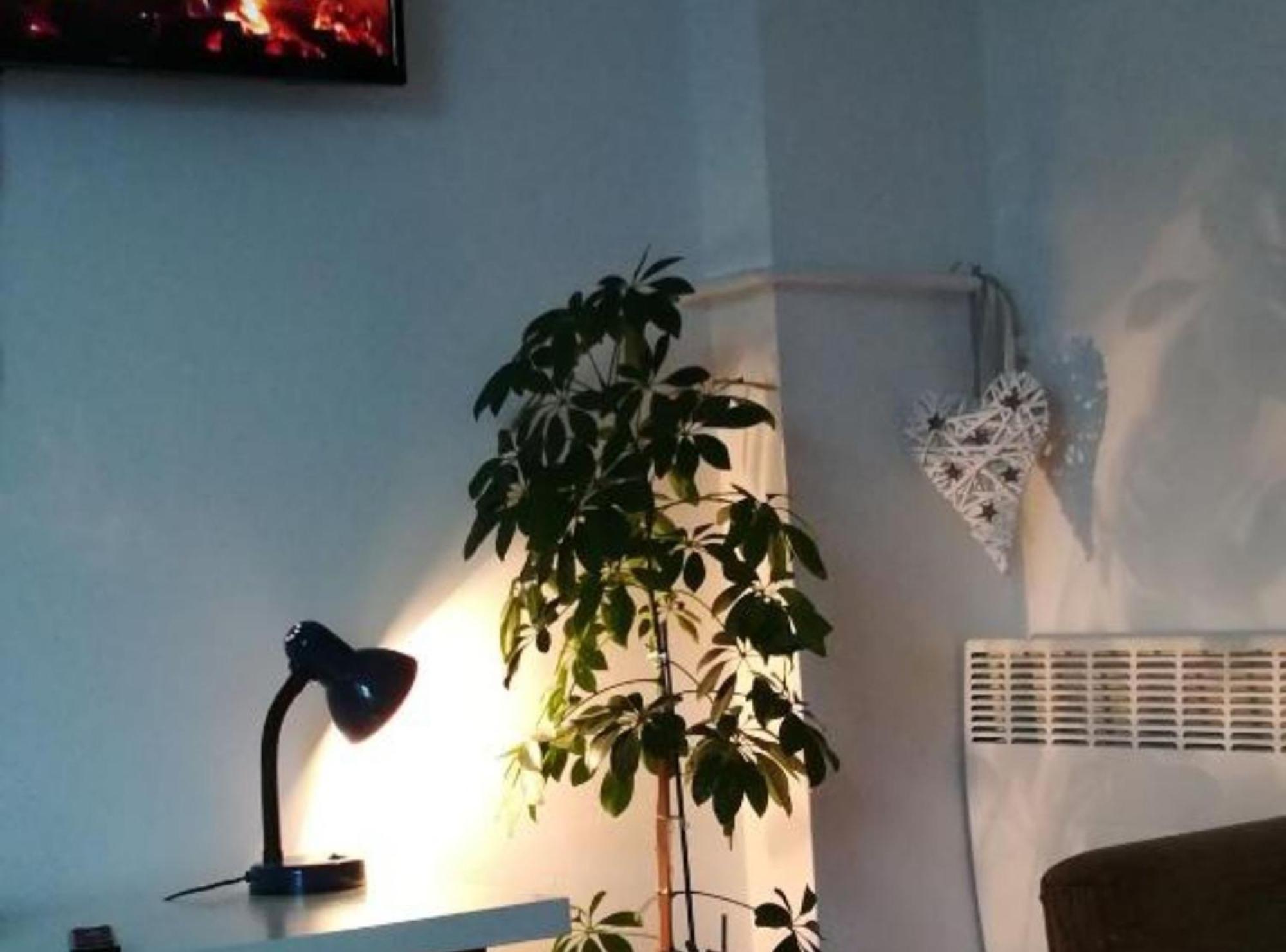 Apartman Olymp Osijek-Garaza מראה חיצוני תמונה